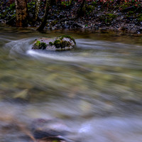 Rock in Stream