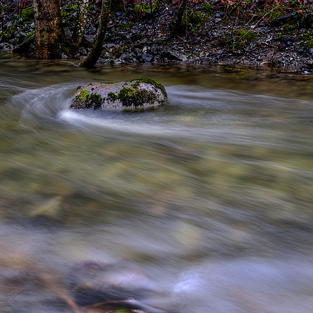 Rock in Stream
