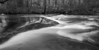 Spring flow