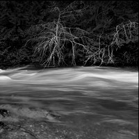 Fluid Motion 1