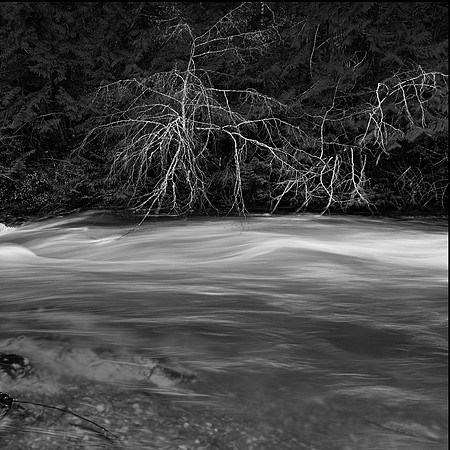 Fluid Motion 1