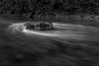 Fluid motion 3