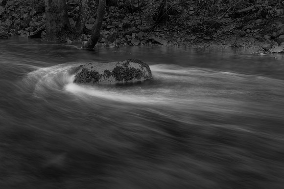 Fluid motion 3