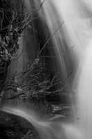 Fluid Motion 5
