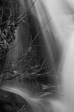 Fluid Motion 5