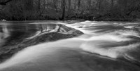 Fluid Motion 6