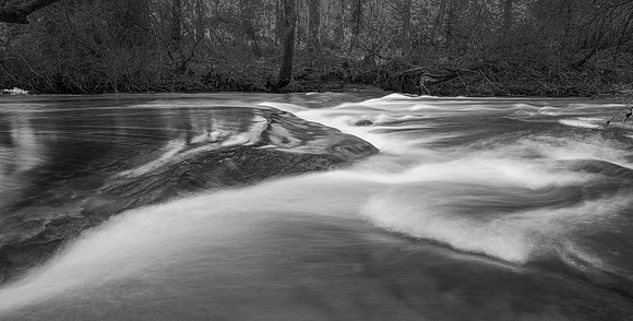 Fluid Motion 6