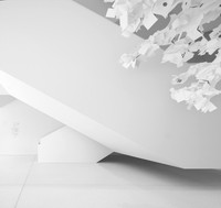 Mont Blanc Paper tree